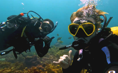 Scuba diving at Rottnest Island with Bucketlist Diver