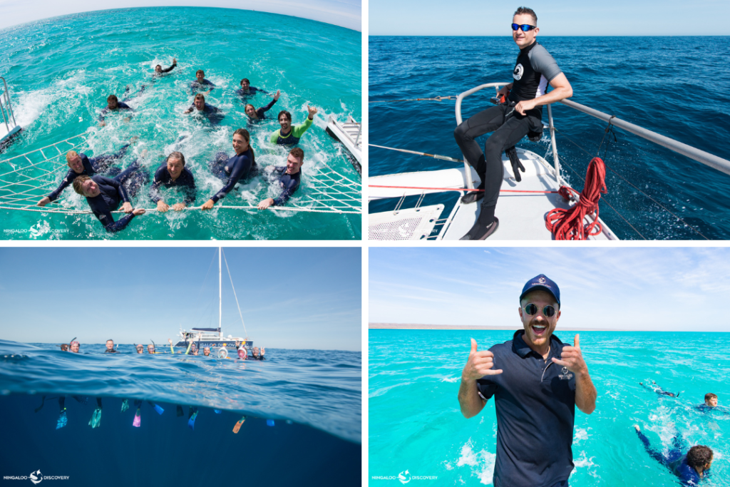 4 images. Image 1 shows people in the ocean holding onto a catamaran net. Image 2 shows a man sitting on a boat in the ocean. Image 3 shows several people wearing snorkelling gear in the ocean waving at the camera with a catamaran in the background. Image 4 shows a man smiling at the camera on a boat. 