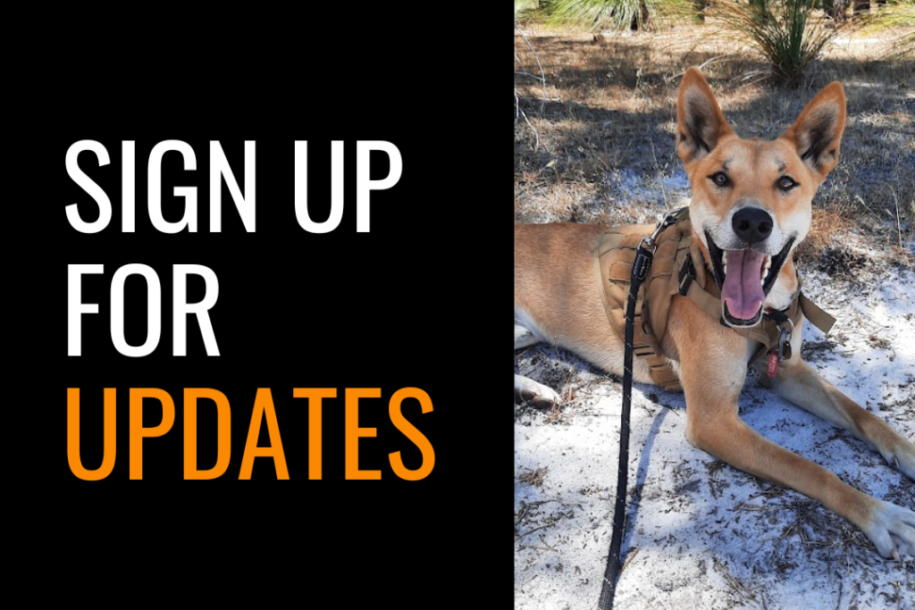 Text reads: Sign up for updates. Image of a happy dingo lying down on its belly, looking at the camera and smiling.